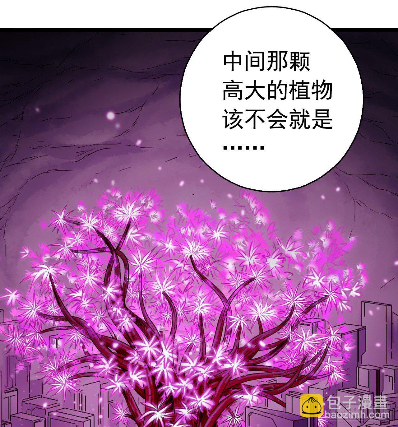 第7章 永生花9(1/2)-第70话