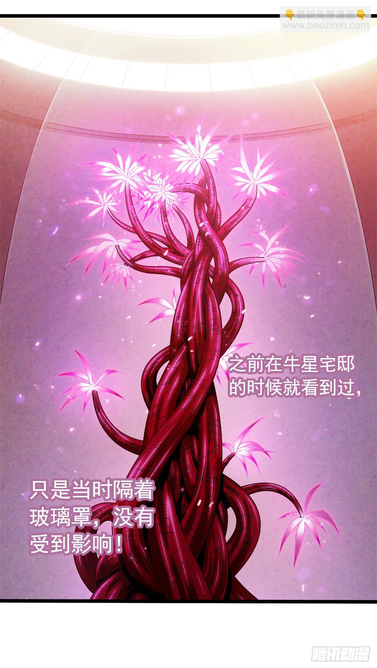 第7章 永生花11(1/2)-第72话