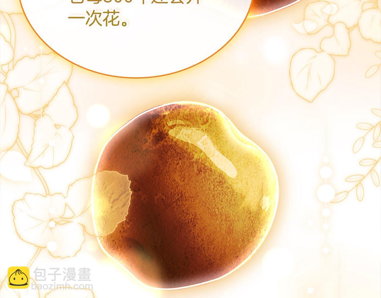 第122话 世界树的果实(1/5)-第124话