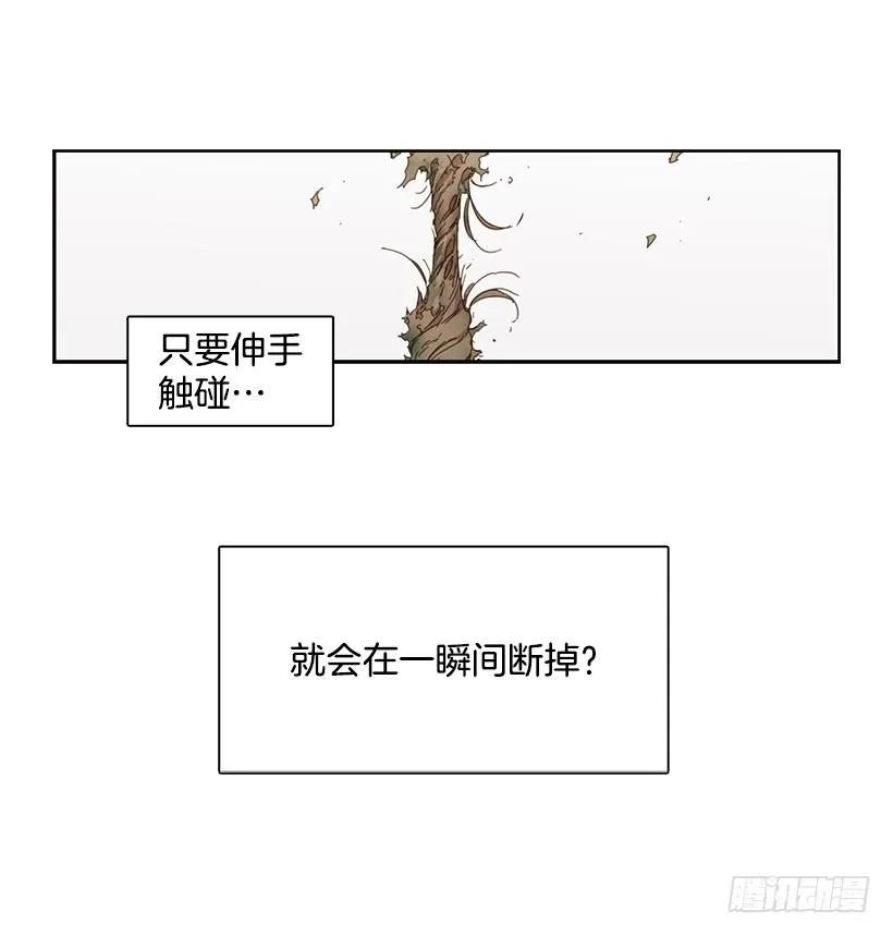 他没有错过-第192话