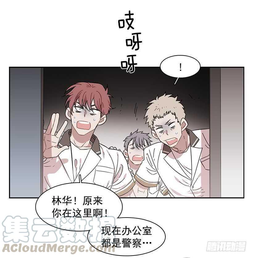 他已卸下伪装-第208话