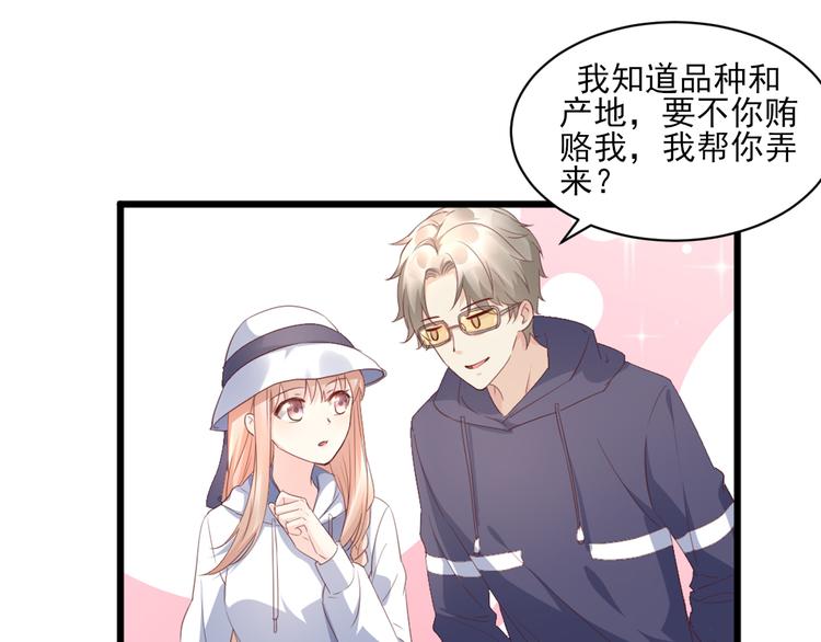 第15话 奶奶神助攻(1/2)-第16话