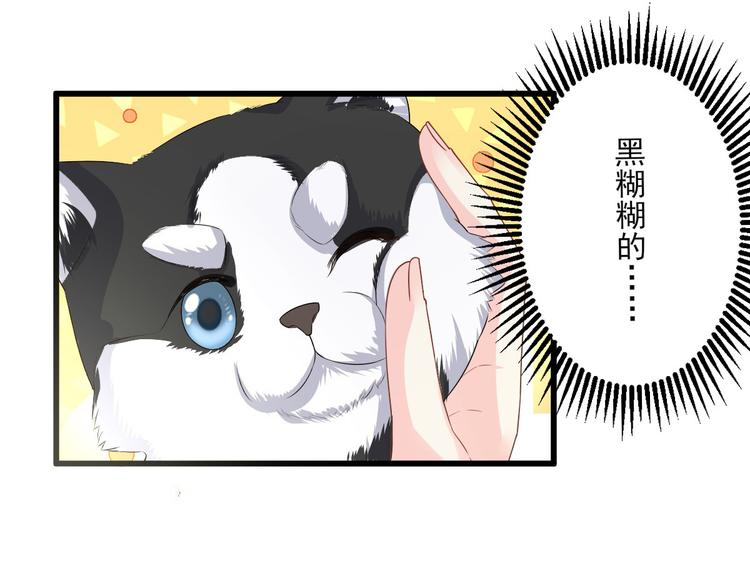 第26话 好事成双，惊喜连连(1/2)-第28话