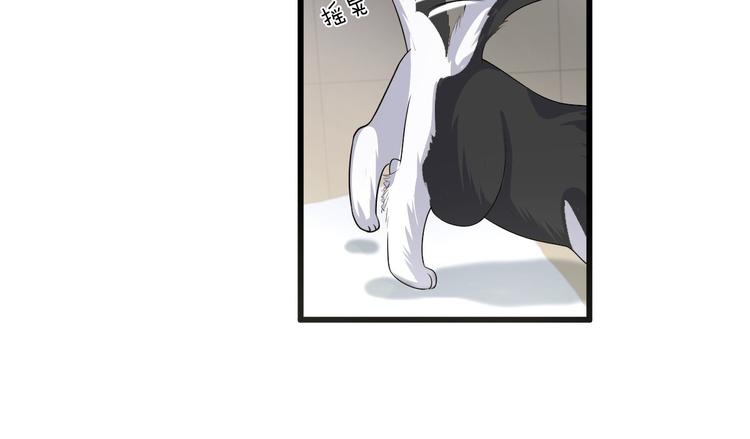 第26话 好事成双，惊喜连连(1/2)-第28话