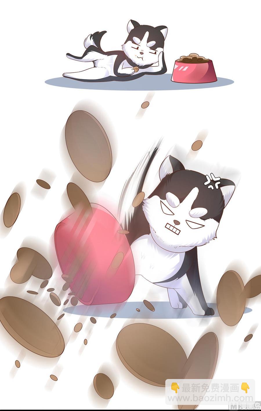 第90话 这狗粮吃的真开心-第94话