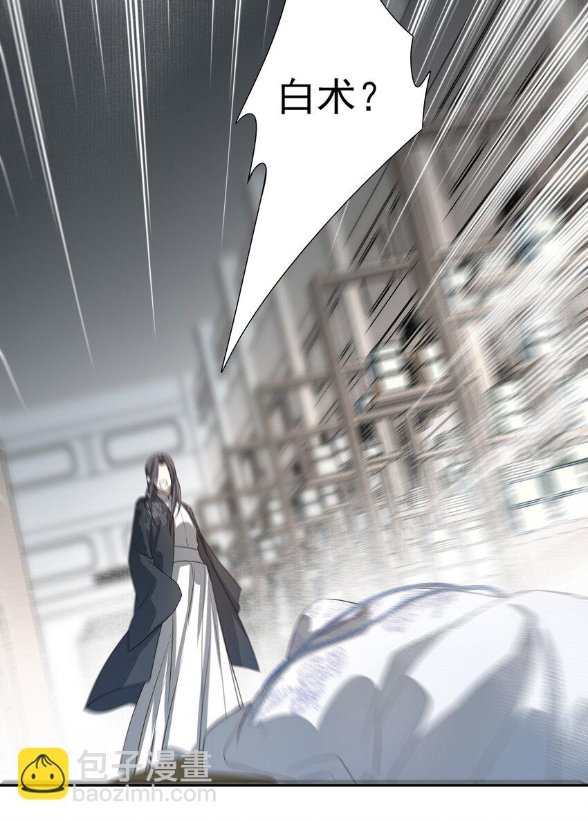 21 白术身上的傀儡符文-第22话