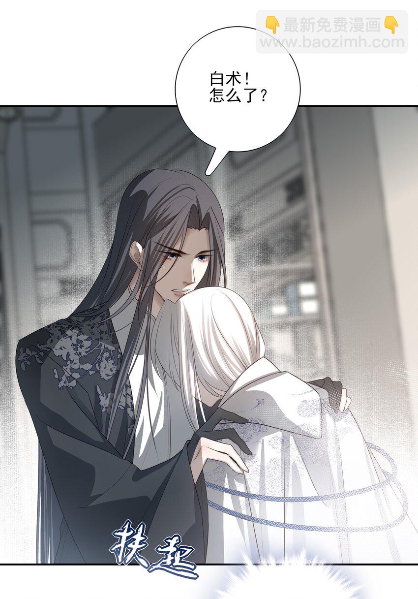 21 白术身上的傀儡符文-第22话