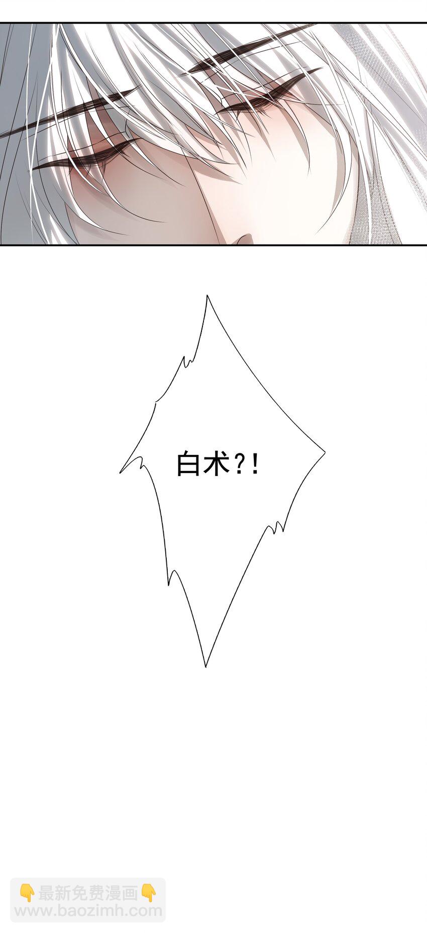 21 白术身上的傀儡符文-第22话