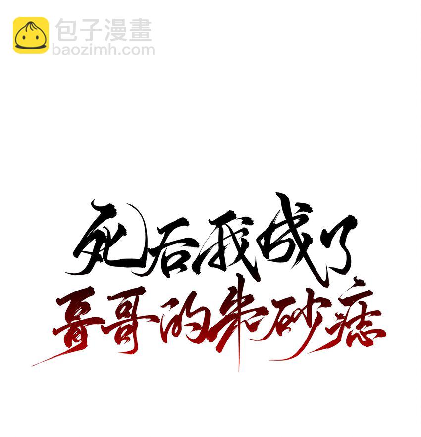 21 白术身上的傀儡符文-第22话