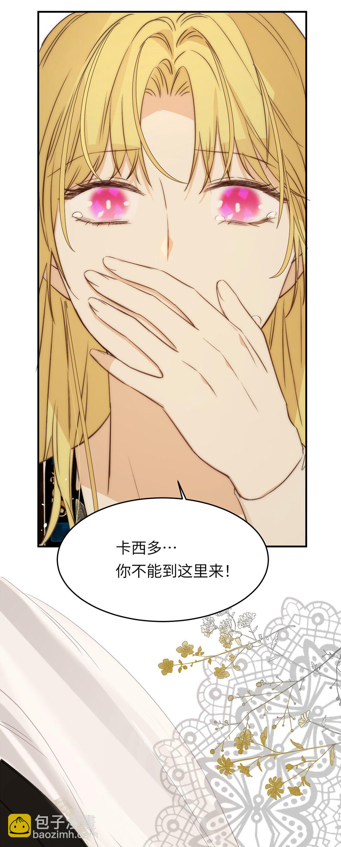 120 生日快乐卡西多(1/2)-第120话