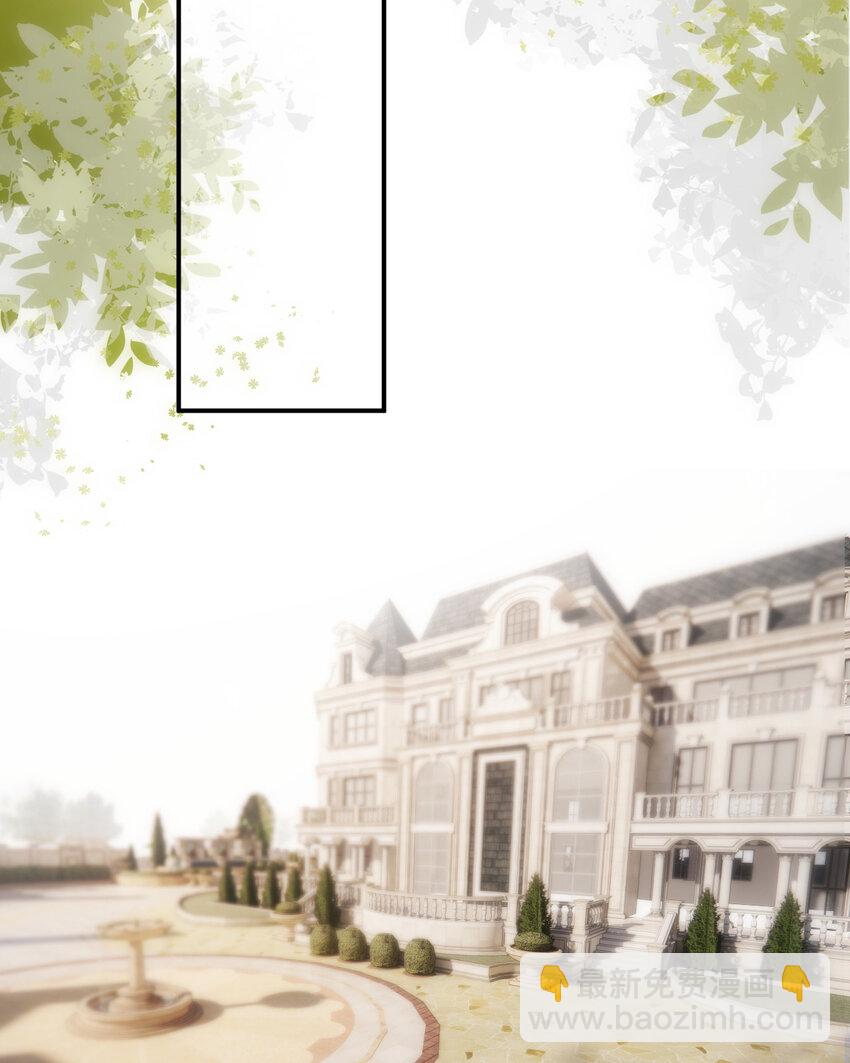 69 尚未盖章的军火协议(1/2)-第68话