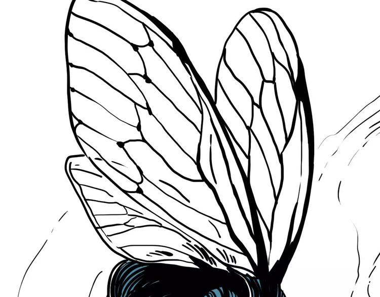 第46话 黑影(1/2)-第38话