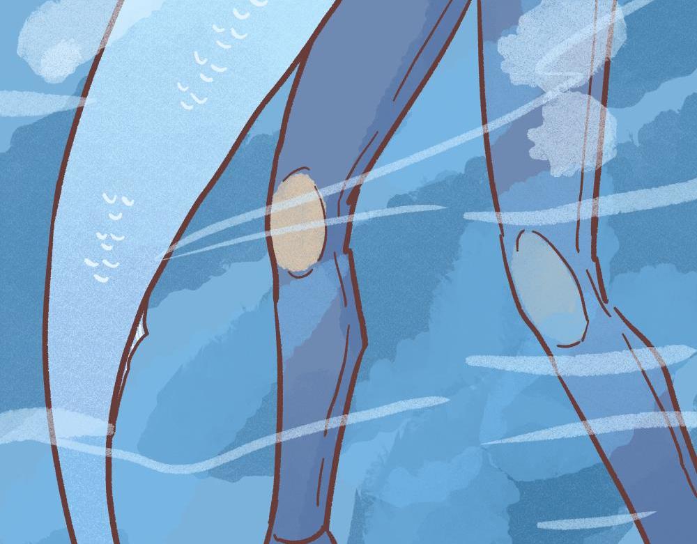 水下救生员-庆祝满100关注！(1/2)-第2话