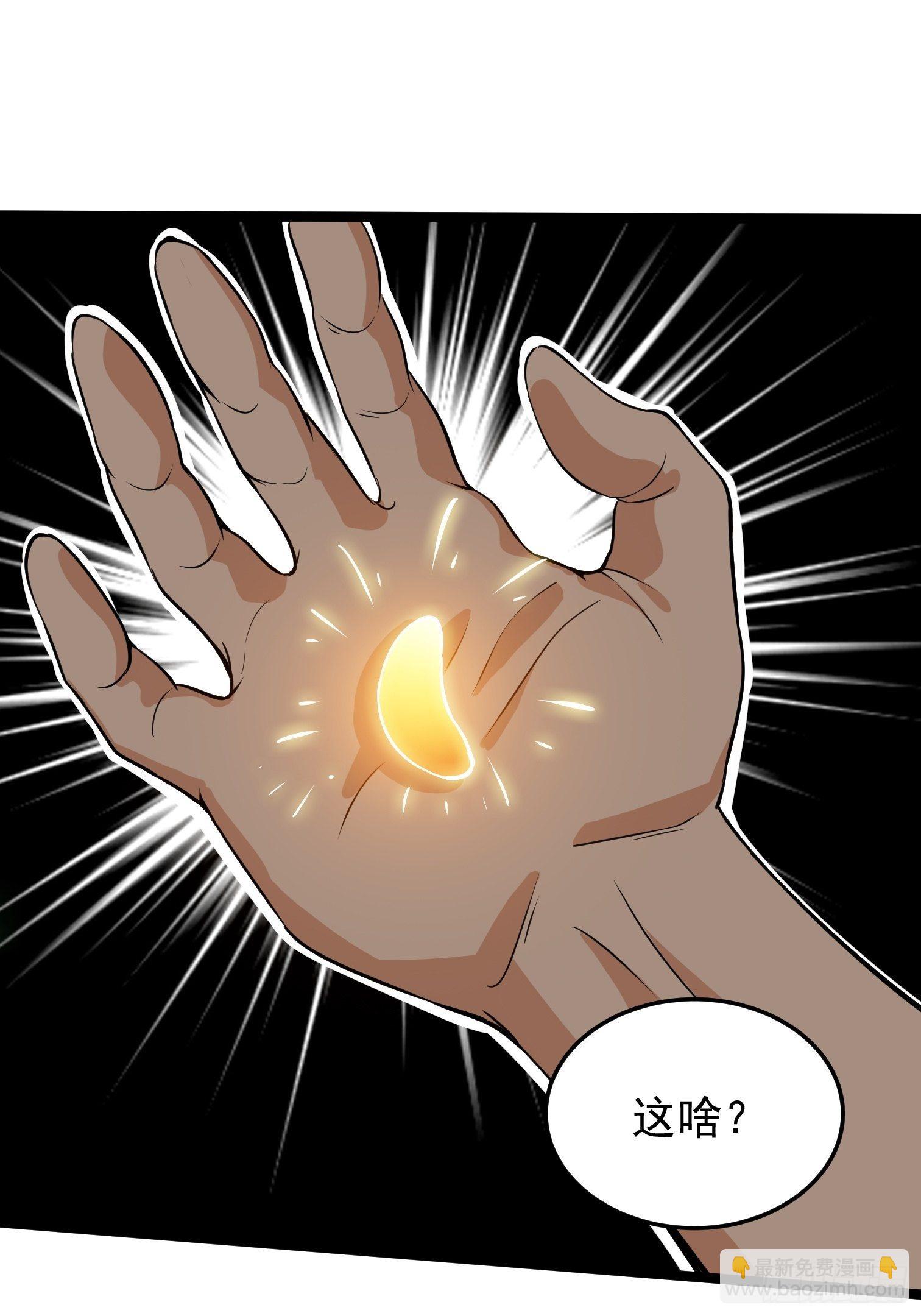 11.金色种子(1/2)-第12话