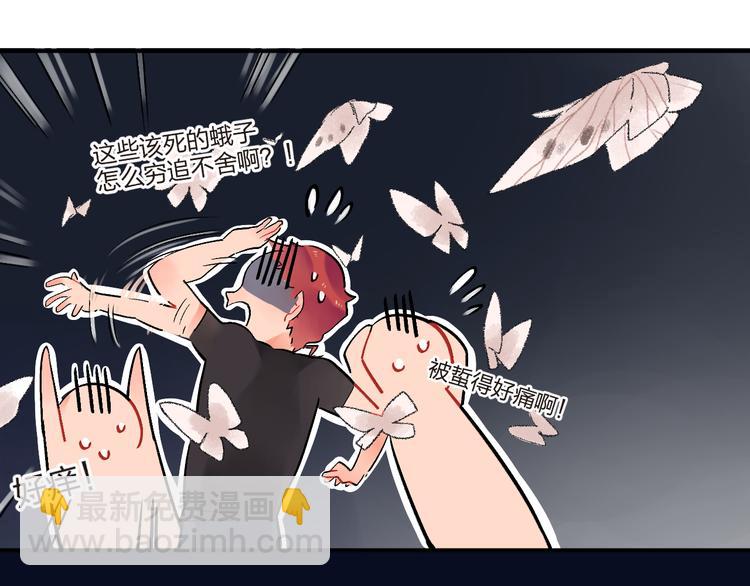 第7话 治愈的幺蛾子(1/2)-第8话