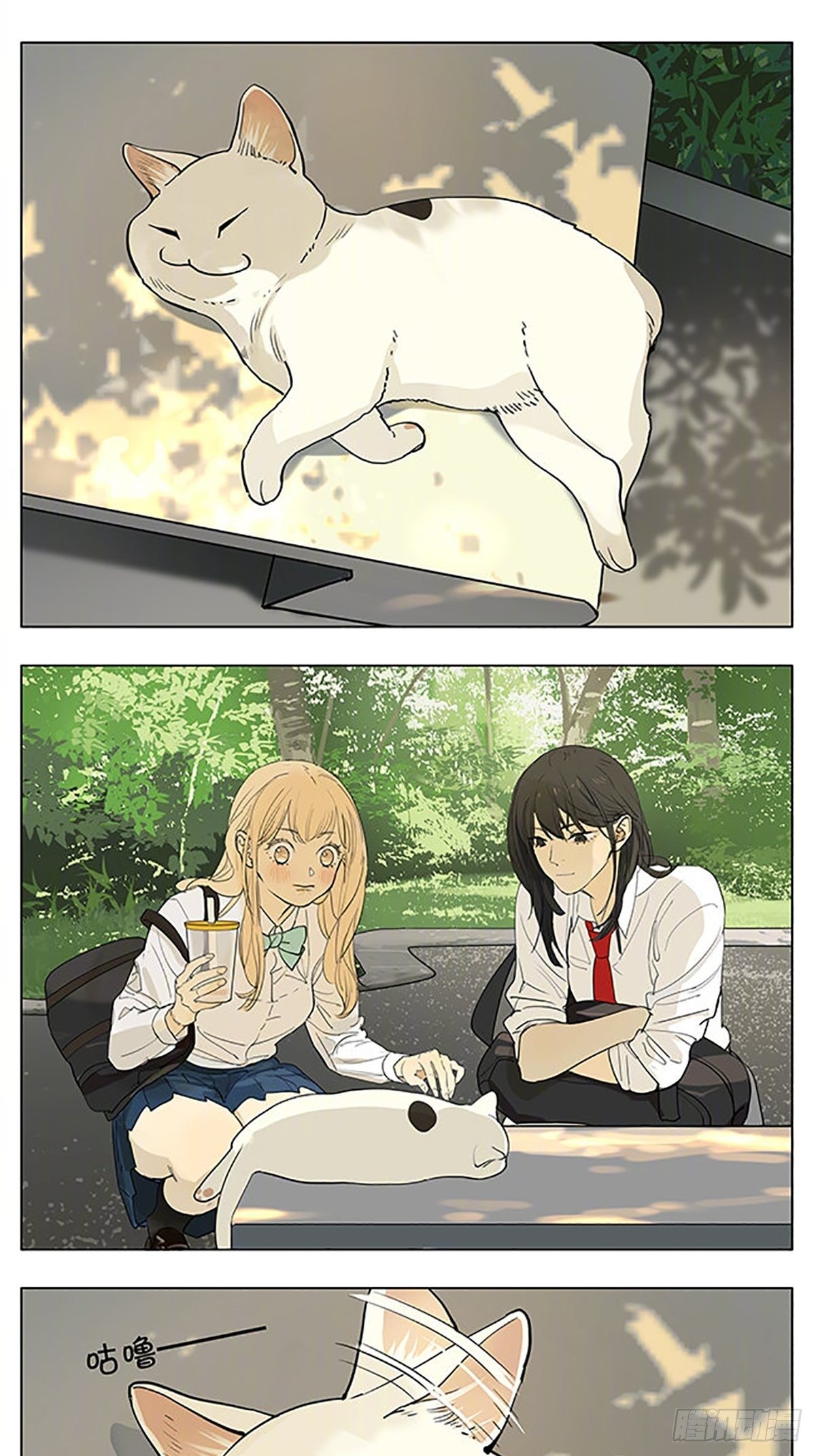 猫-第186话