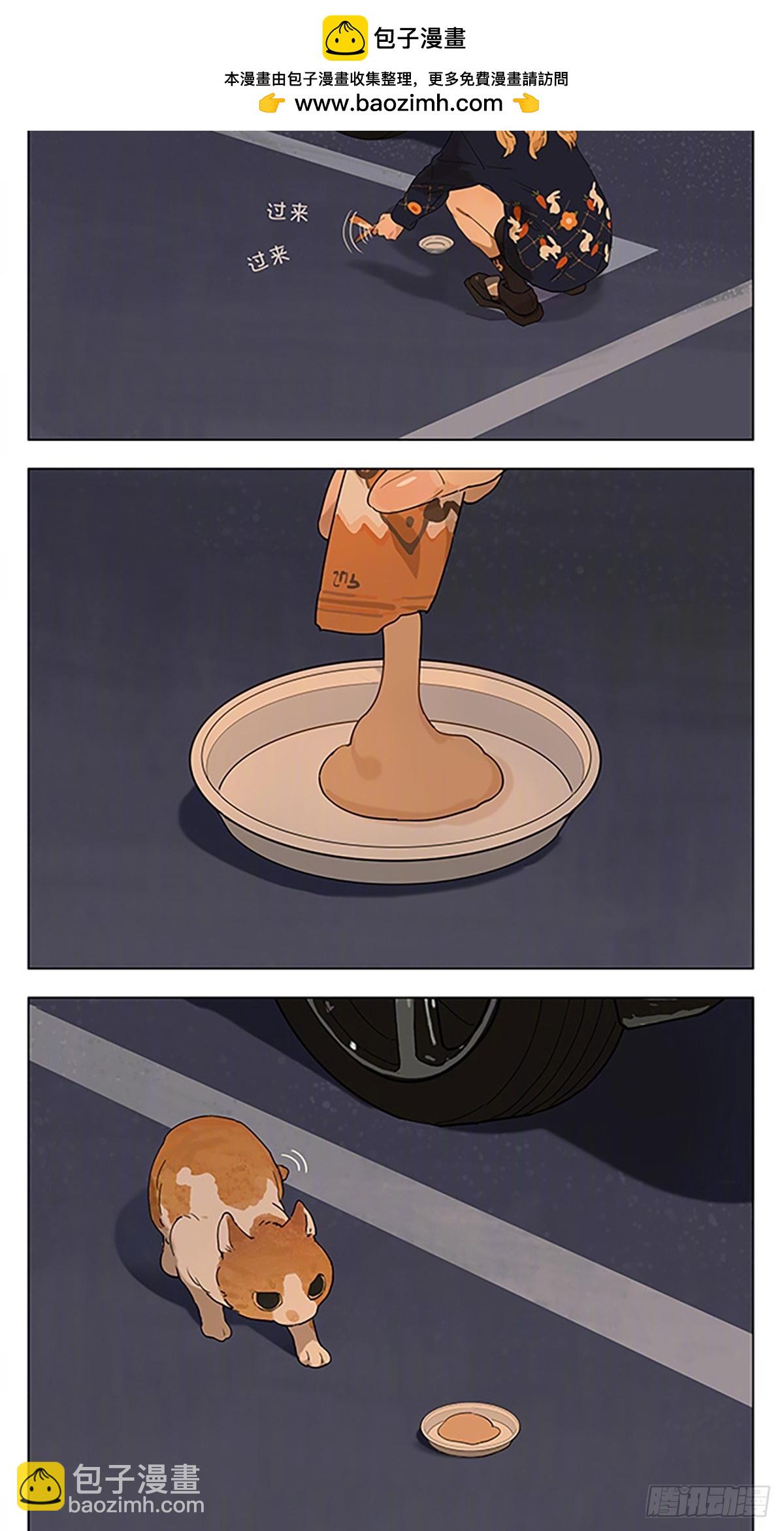 暖洋洋的春天，路边有只橘猫-第198话