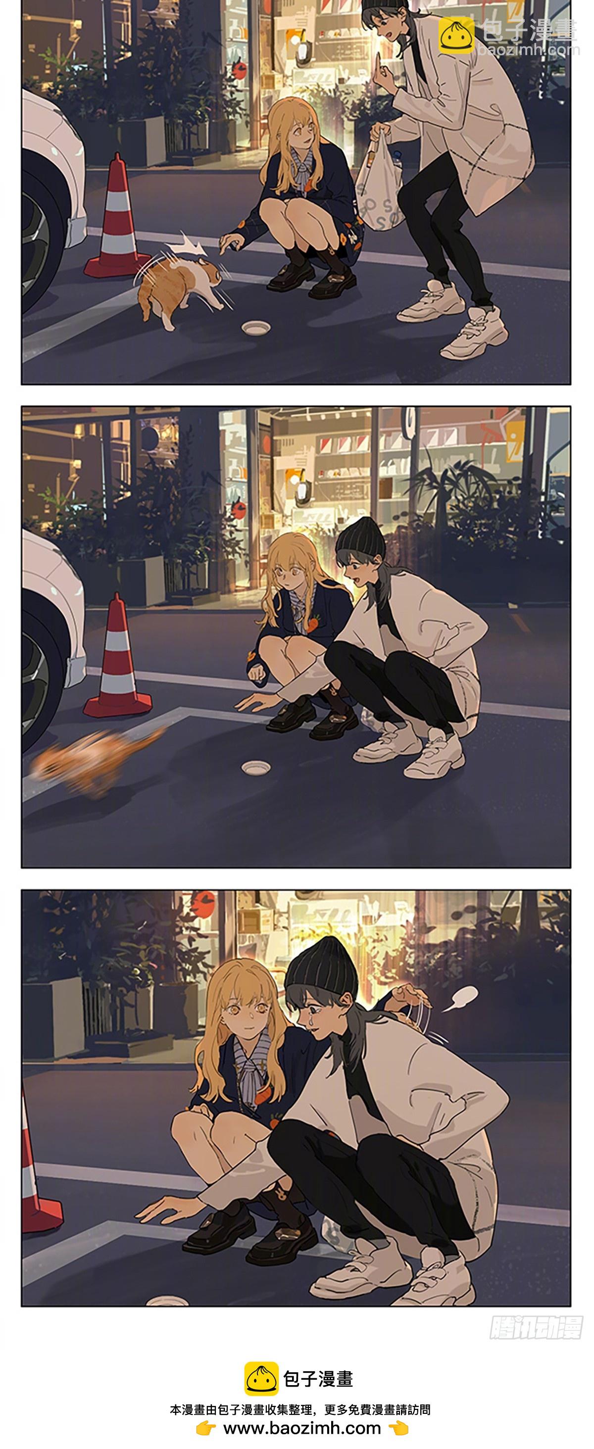 暖洋洋的春天，路边有只橘猫-第198话