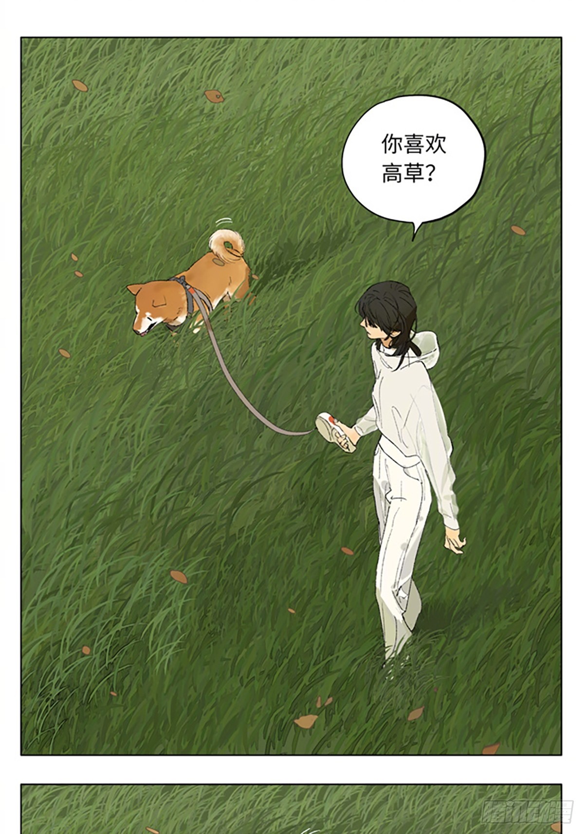 遛狗2.0~阳光正好的下午-第206话