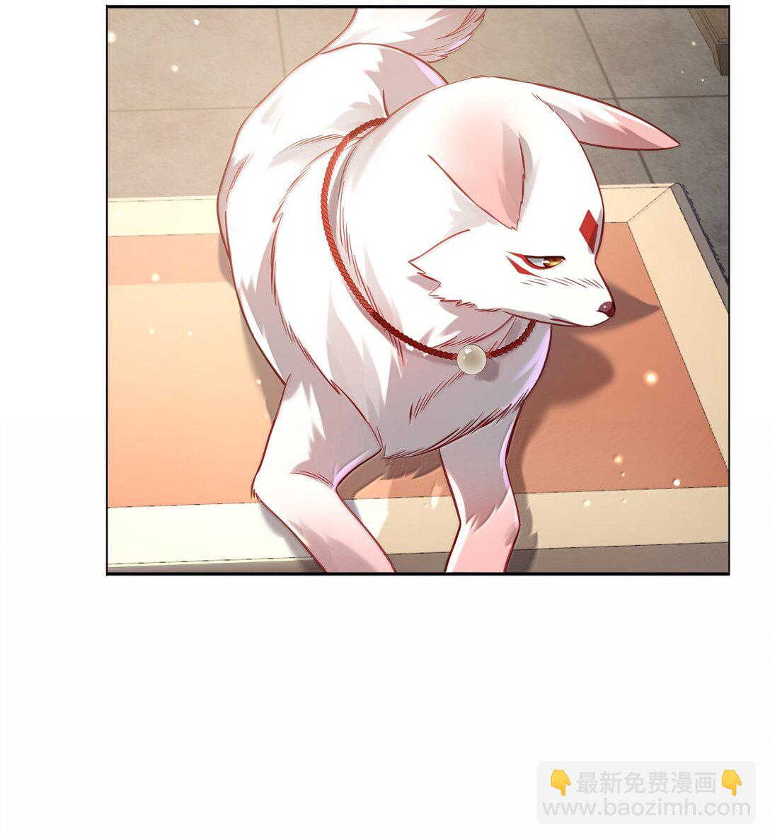 051 谁与狗不得入内？(1/2)-第52话