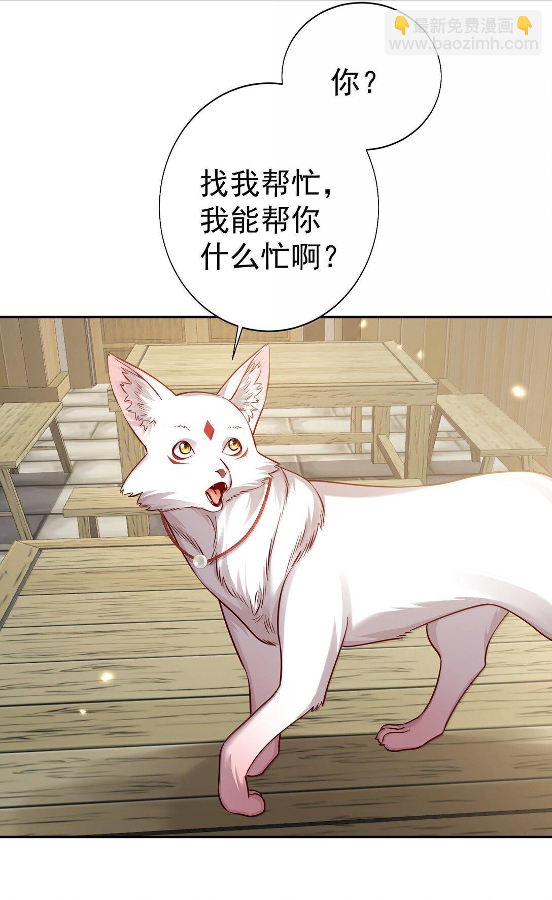 051 谁与狗不得入内？(1/2)-第52话