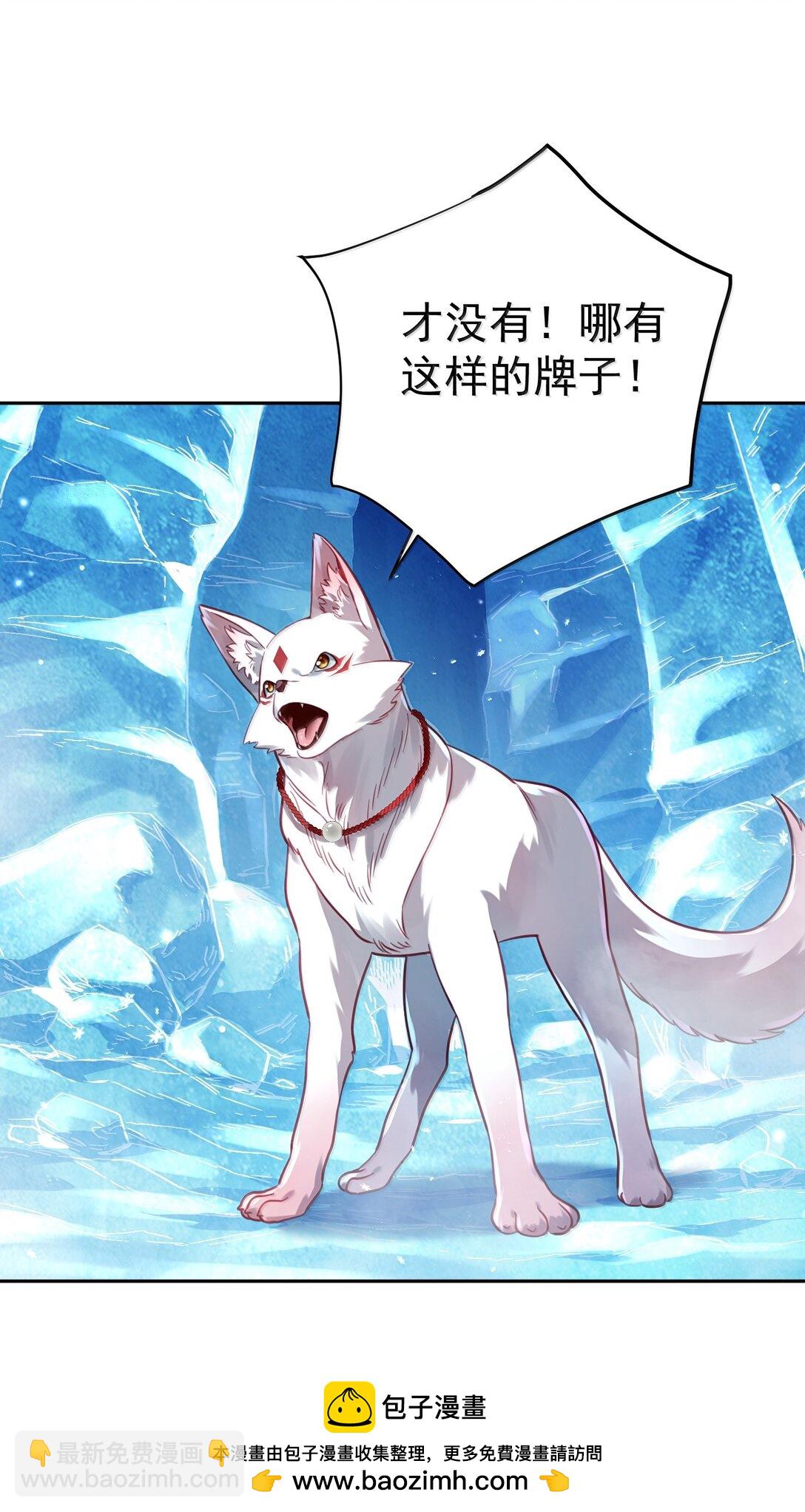 051 谁与狗不得入内？(1/2)-第52话