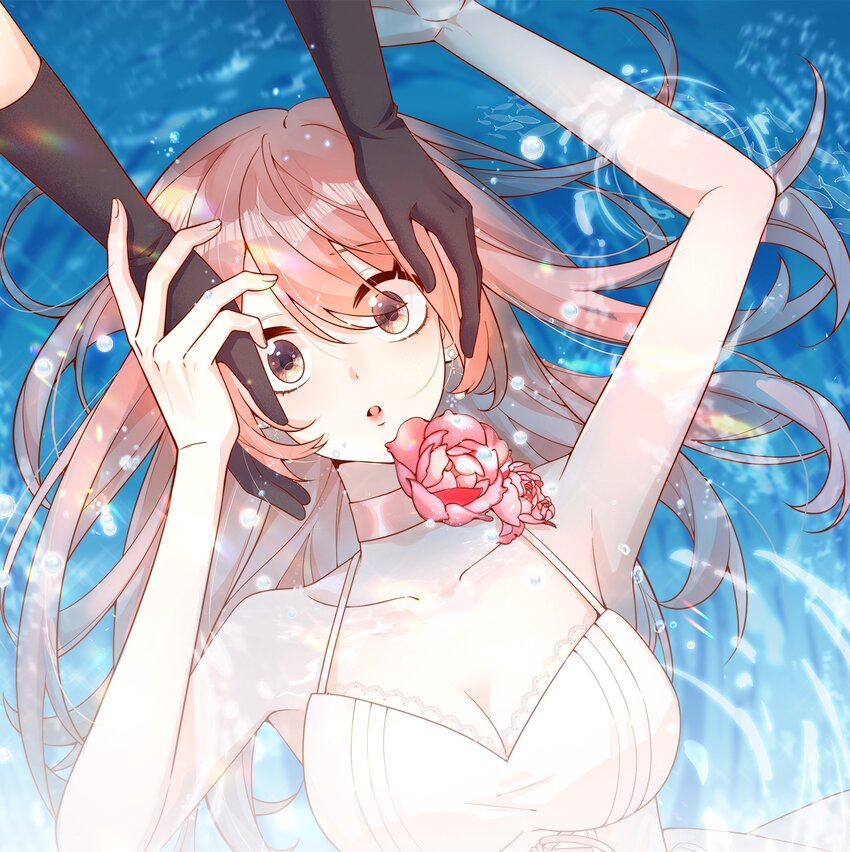 宿敵看我的眼神逐漸變質 - 新卷預告 新卷預告 - 1