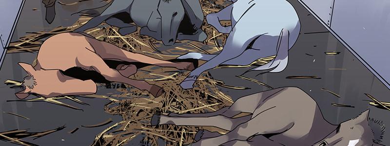 46-偷马贼（上）(1/3)-第46话