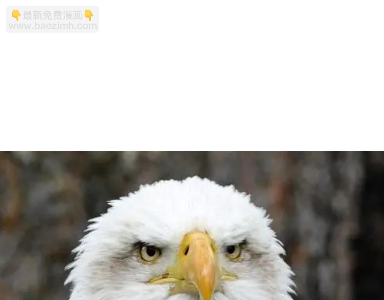 人设杂谈&middot;其一-第6话