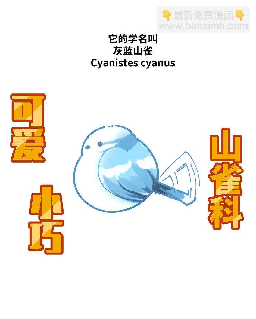 007 喂！放开那个男人！-第10话