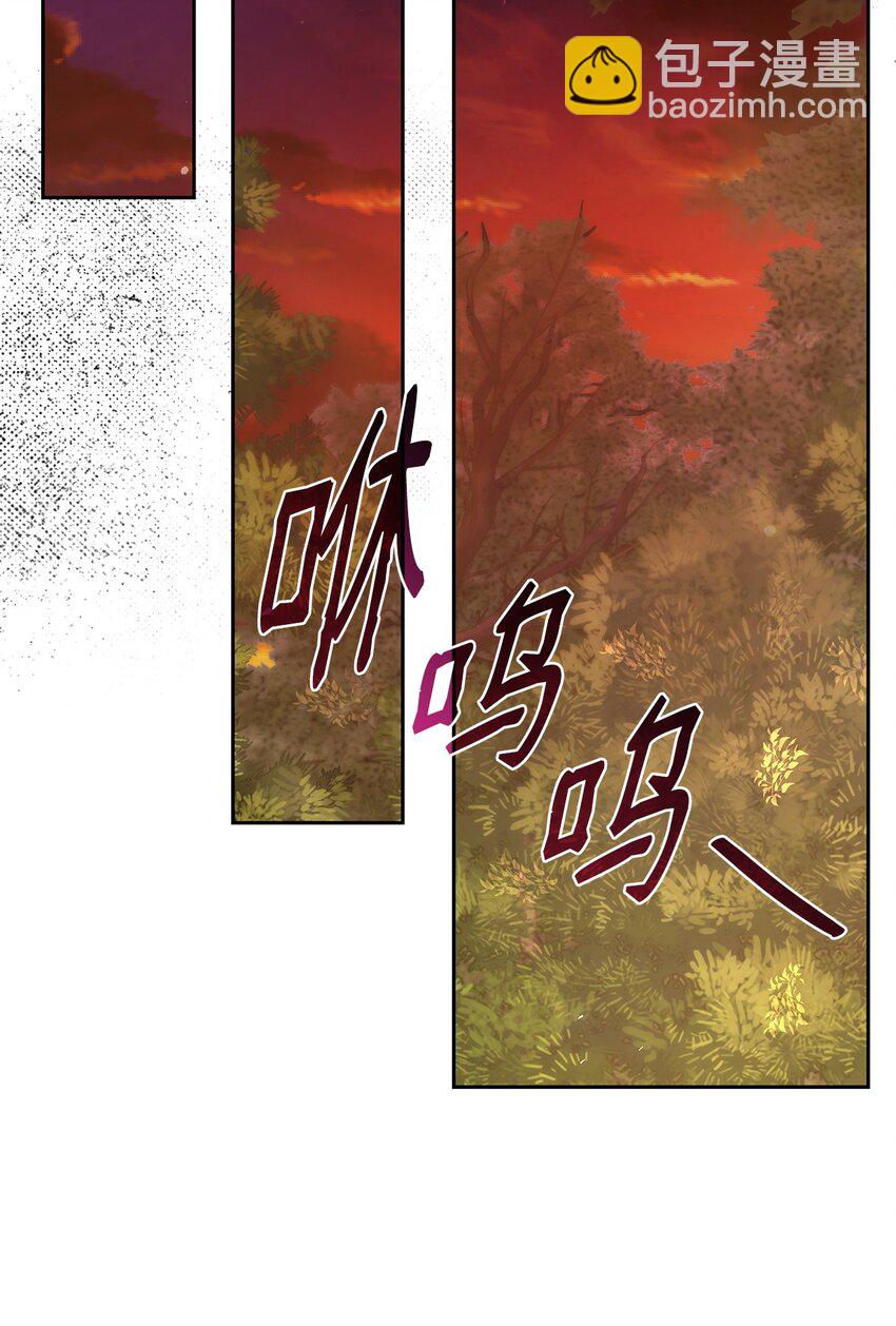 36 森林奇遇(1/2)-第36话