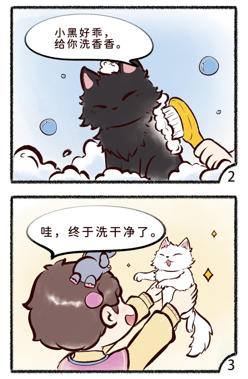 第十二话 小白or小黑-第14话