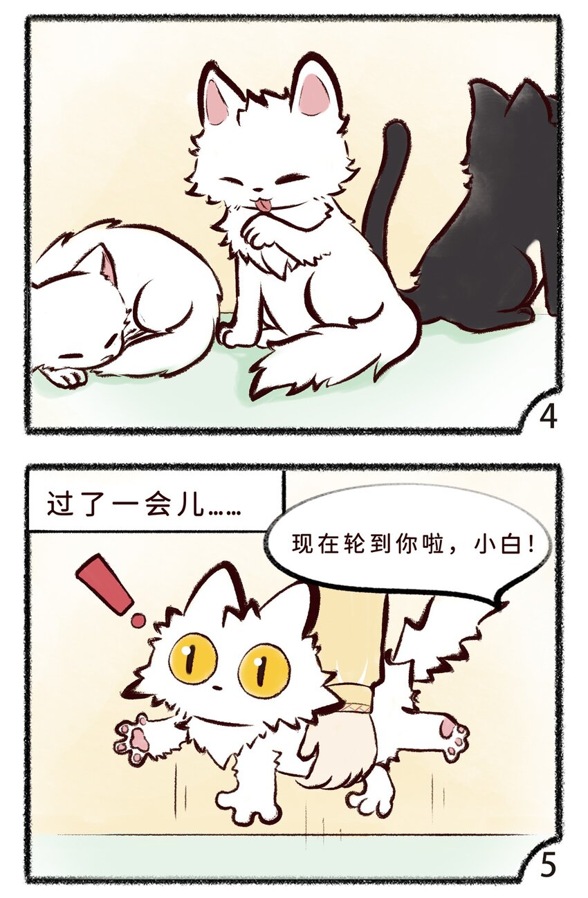 第十二话 小白or小黑-第14话