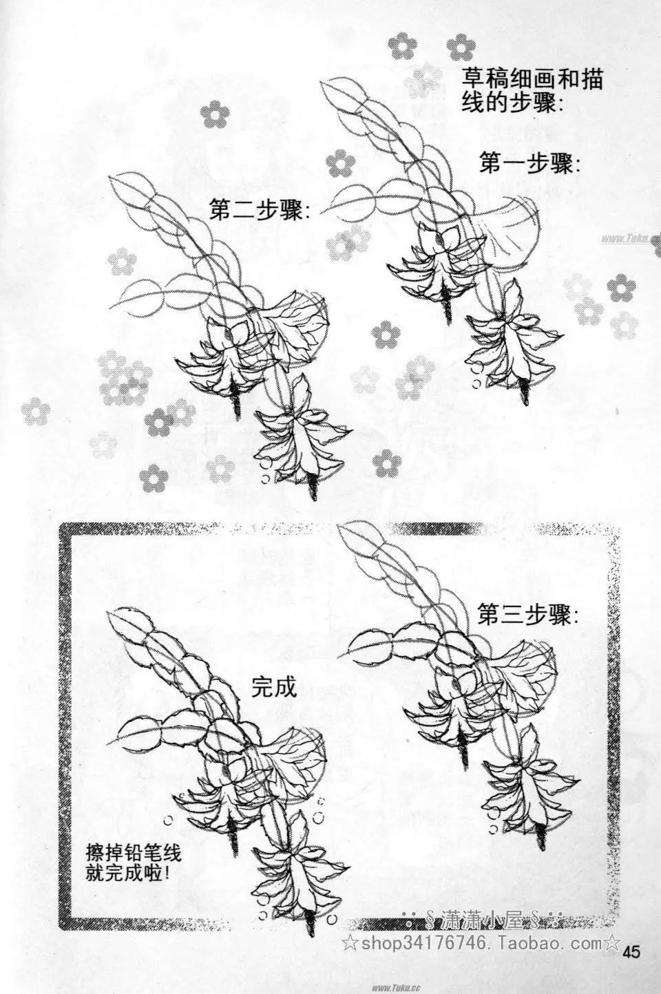 素兰和乔英的漫画学院 - 花草篇(1/2) - 5