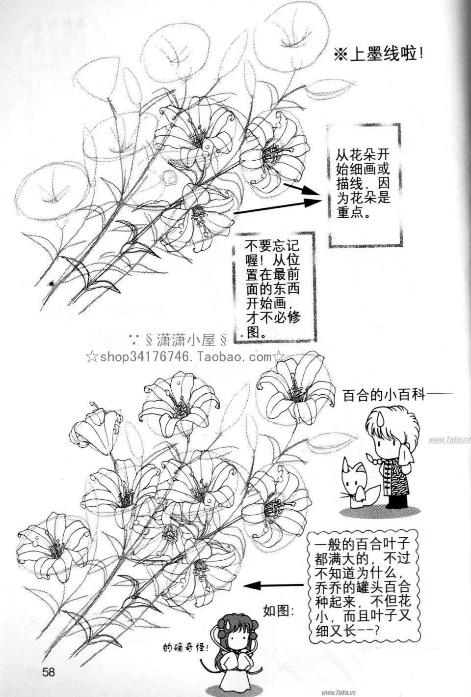 素兰和乔英的漫画学院 - 花草篇(2/2) - 5