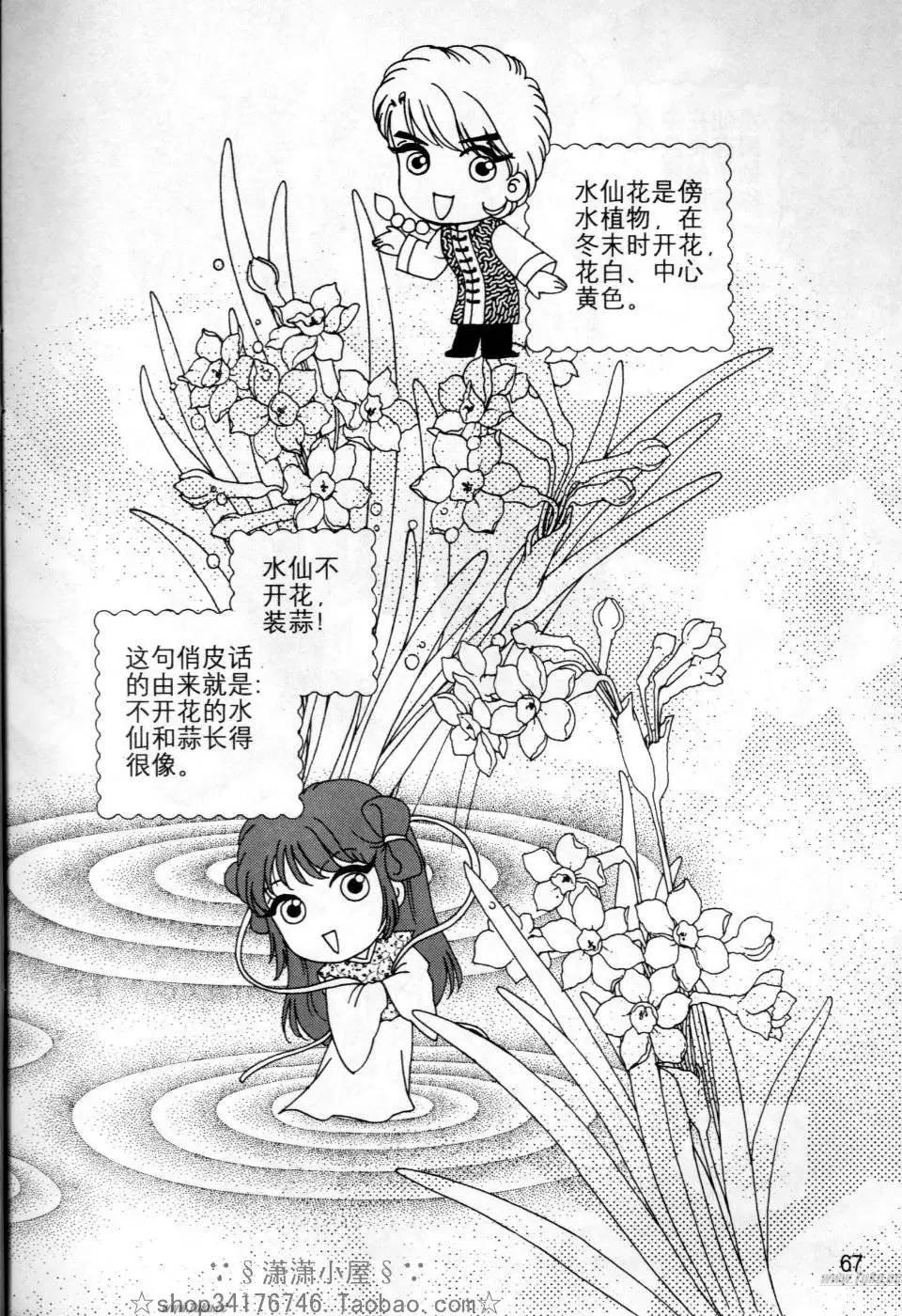 素兰和乔英的漫画学院 - 花草篇(2/2) - 7