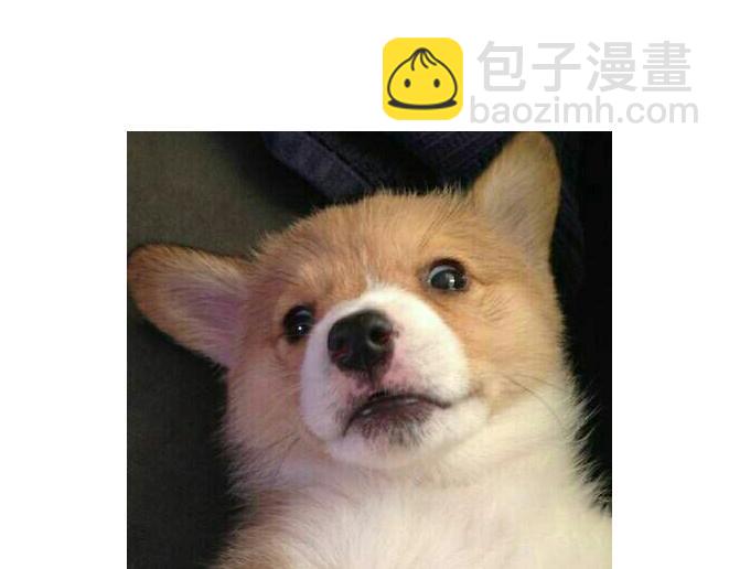 第11话 她笨手笨脚的样子让人想保护-第10话