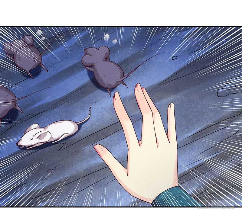 新来的真不懂规矩(1/2)-第52话