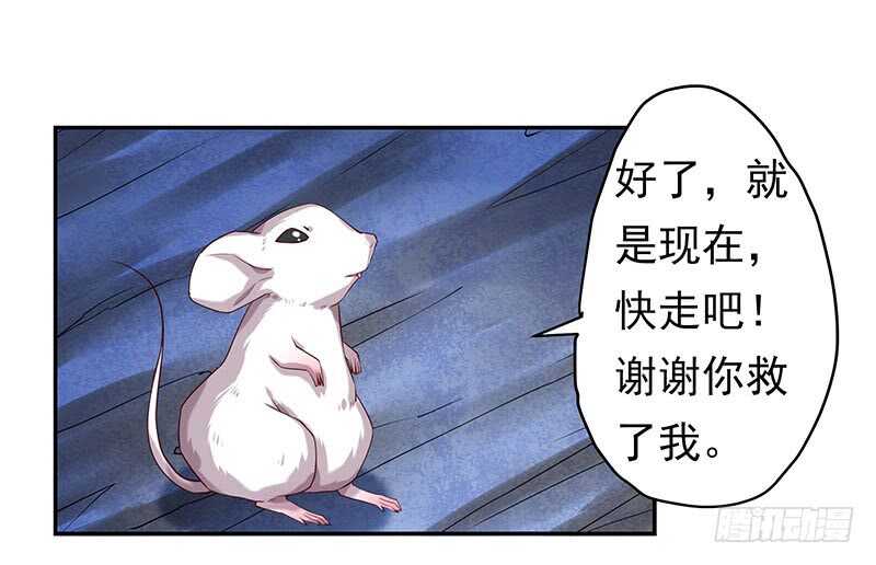 新来的真不懂规矩(1/2)-第52话