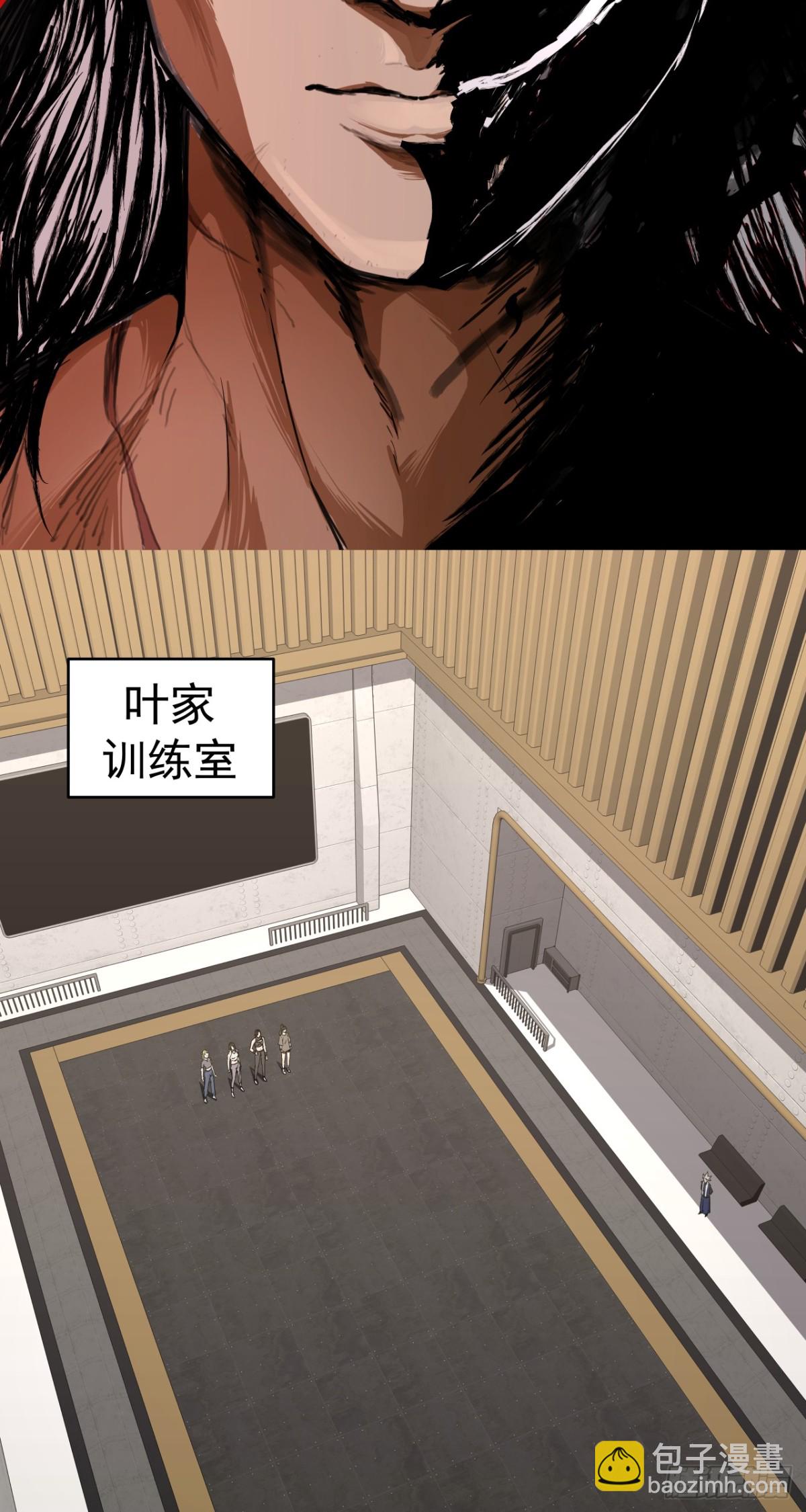 叶家的计划(1/2)-第78话