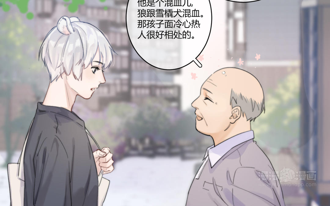 第1话 大灰狼和小仓鼠(1/2)-第2话