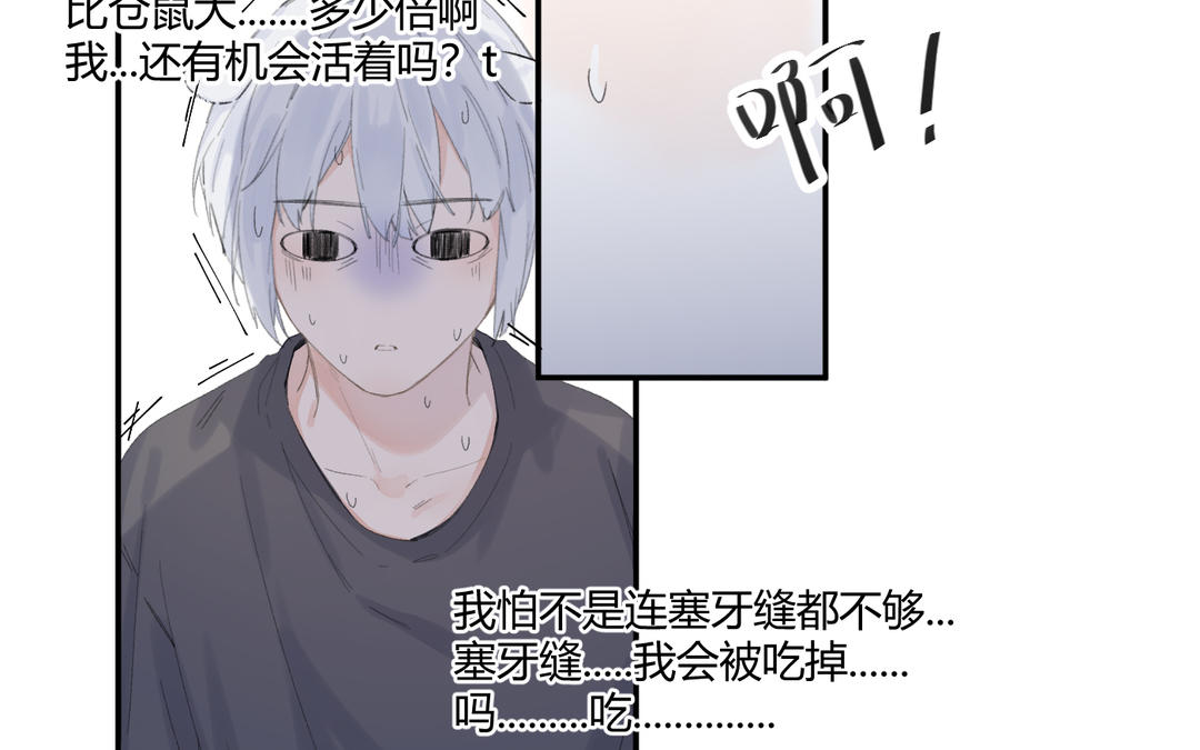 第1话 大灰狼和小仓鼠(1/2)-第2话