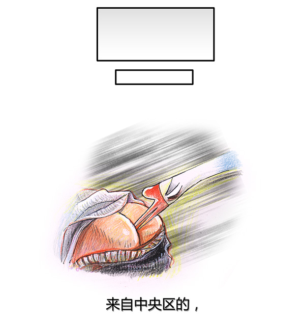 8 高等法师II-第8话