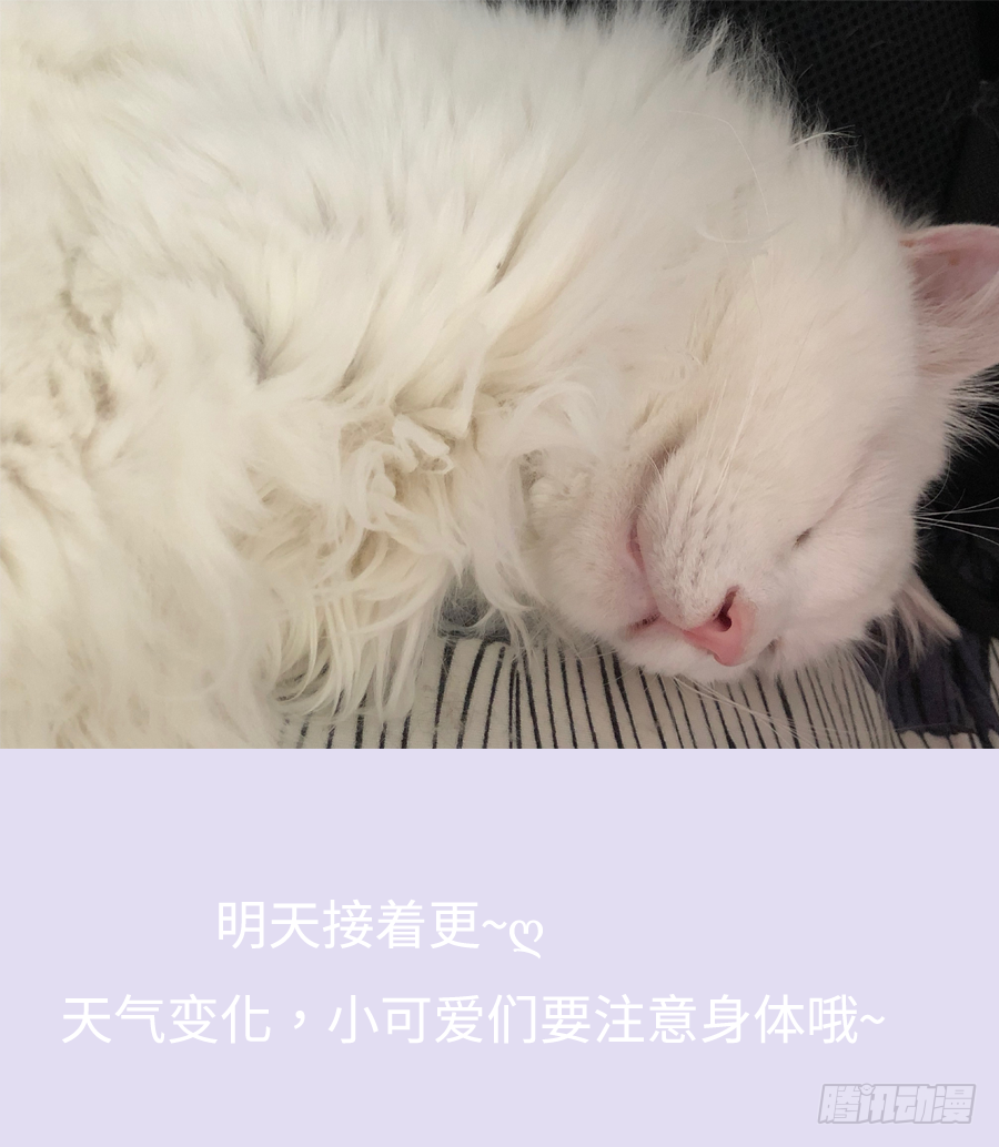 屋顶有人偷看！-第8话