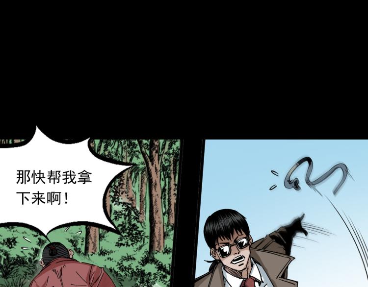 第49话蛇群缠身(1/3)-第50话