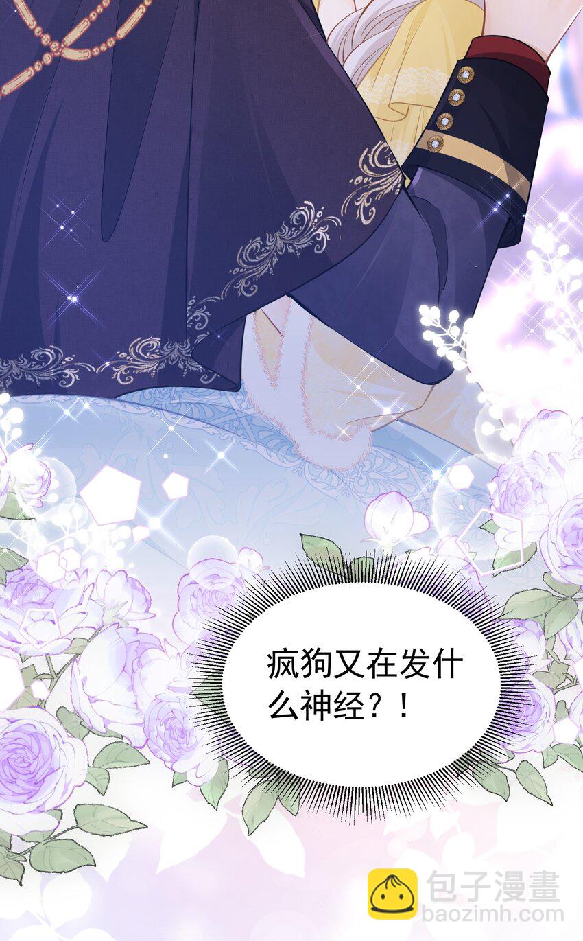 喜欢 赛因殿下你喜欢我吗？-第36话