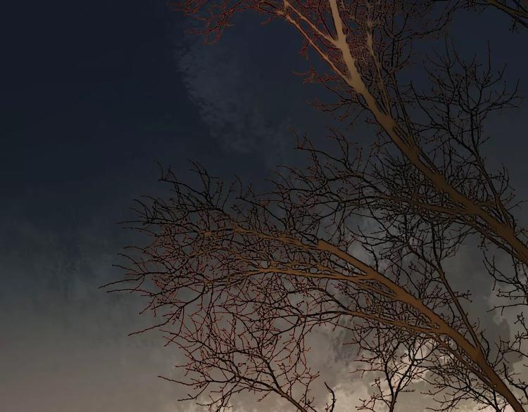 第71话 坏人是没有同情心的-第72话