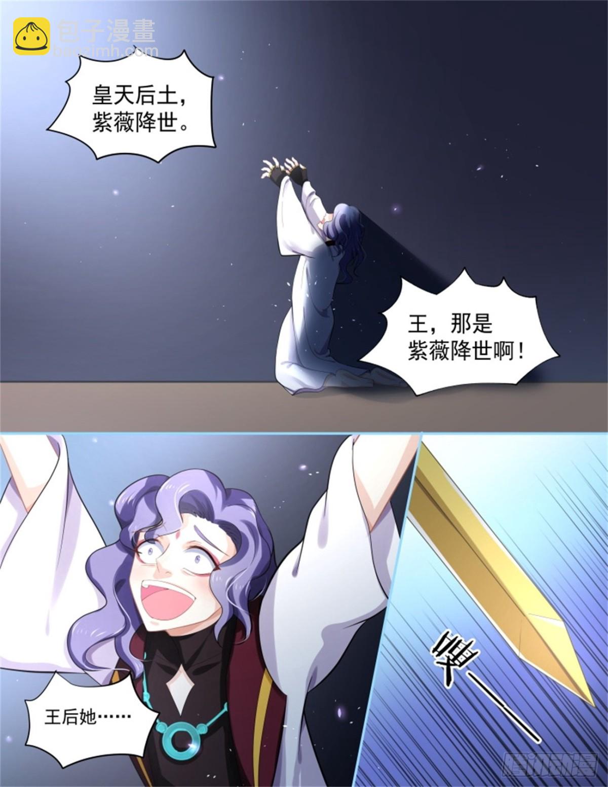 討喜笨王妃 - 王妃巫瓏·五 - 1