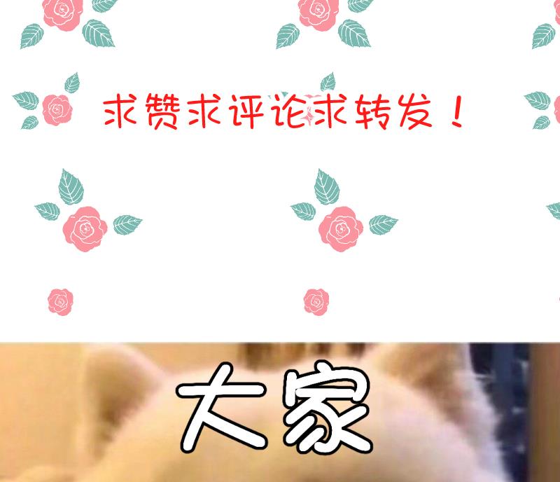 第58话 他动手了-第60话