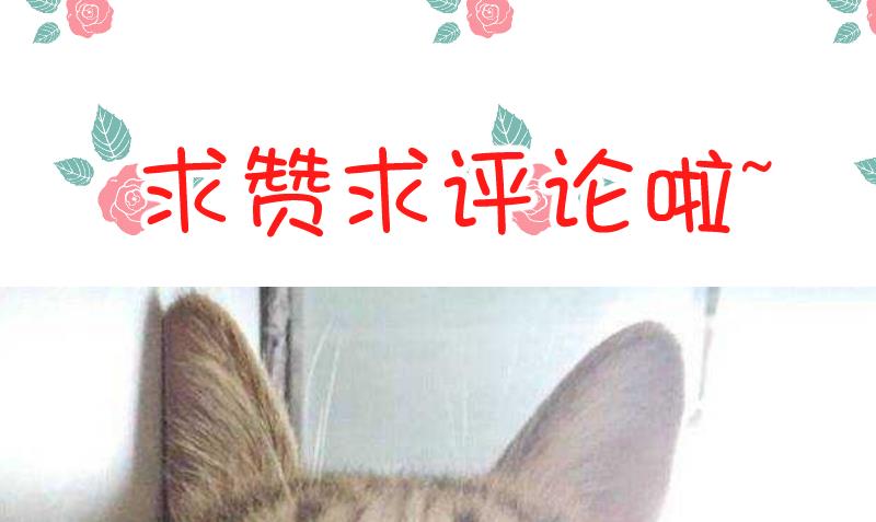 第64话 笨蛋-第66话